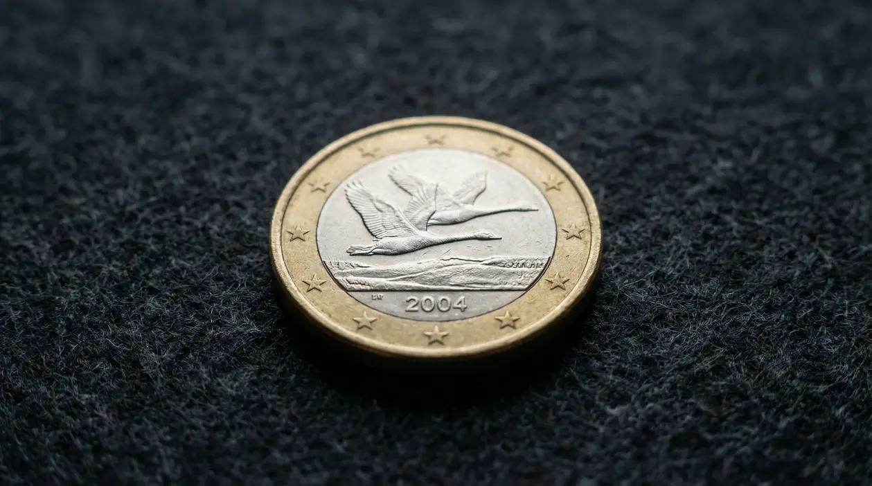 Moneta da 1 euro Finlandia 2004 con due cigni in volo su sfondo scuro