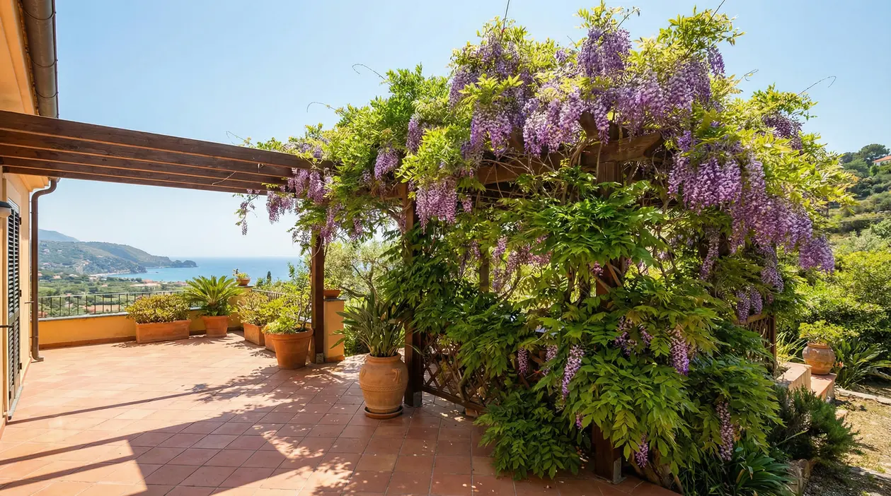 Terrazzo soleggiato con pergolato coperto da rampicante fiorito viola e vista sul mare